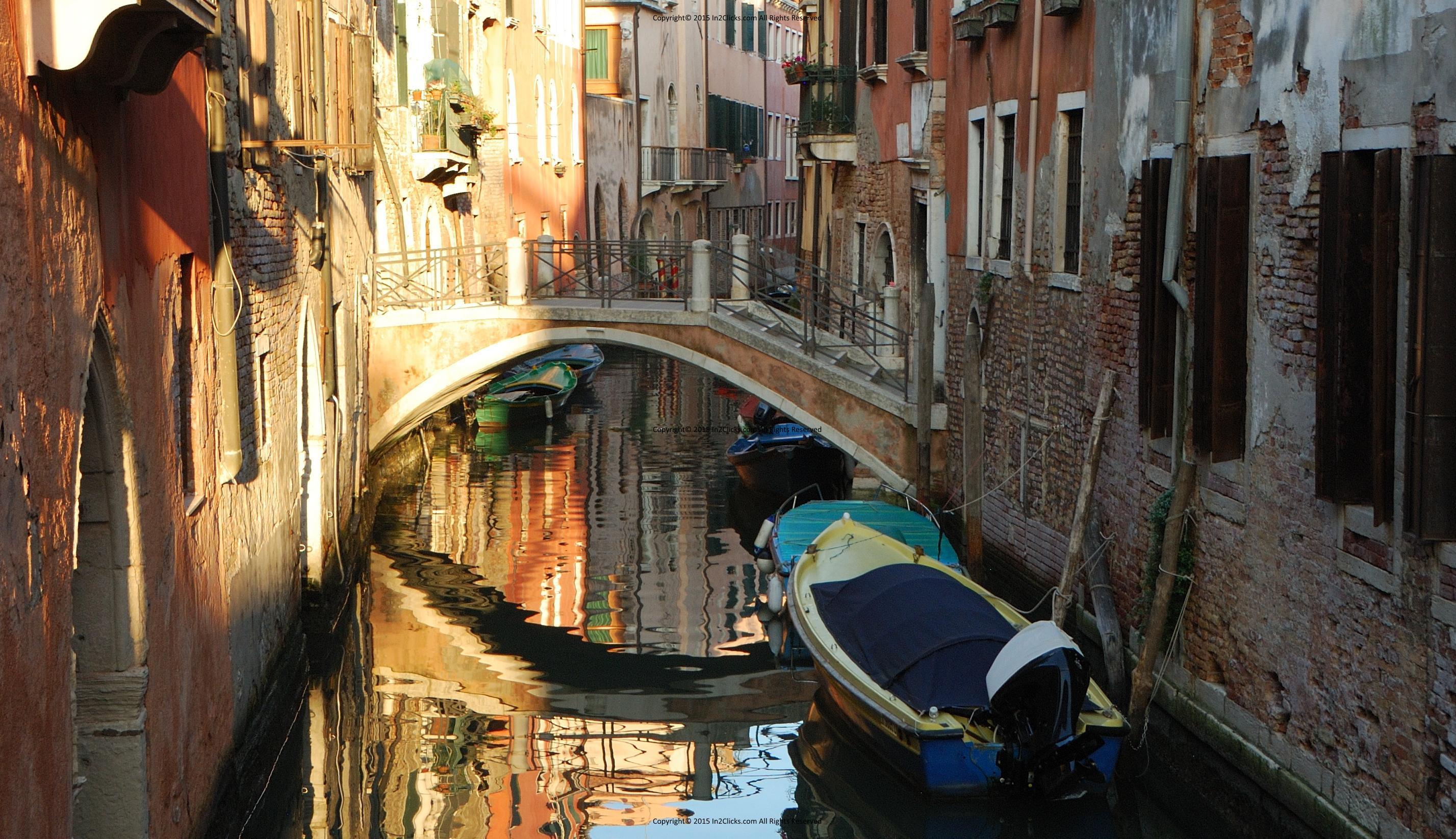 Mark's Venice
