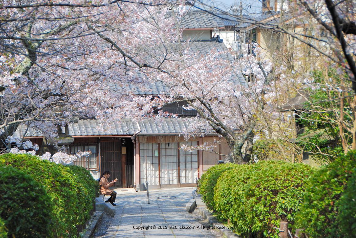 Kyoto Matsubrara Dori